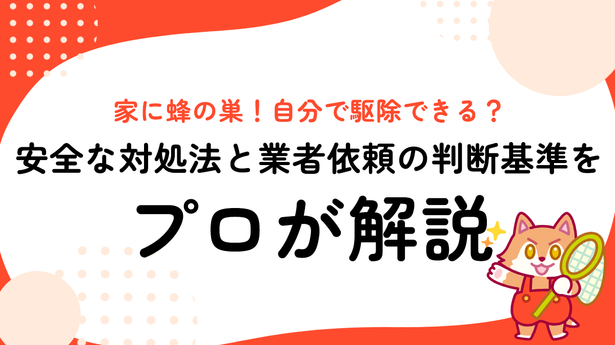 家に蜂の巣！自分で駆除できる？安全な対処法と業者依頼の判断基準をプロが解説