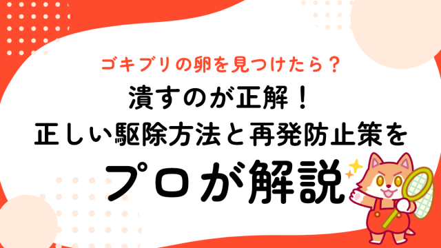 ゴキブリの卵を見つけたら？潰すのが正解！正しい駆除方法と再発防止策をプロが解説