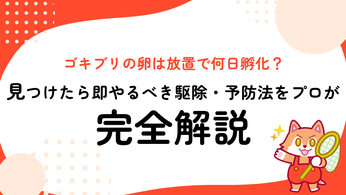 ゴキブリの卵は放置で何日孵化？見つけたら即やるべき駆除・予防法をプロが完全解説