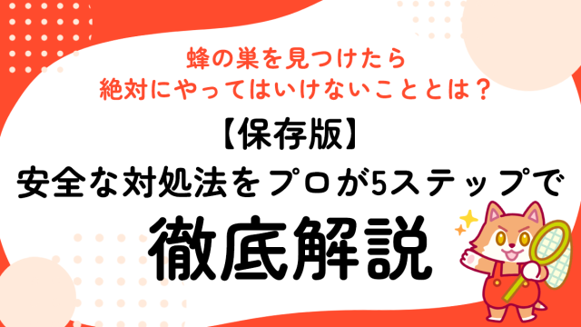 蜂の巣を見つけたら絶対にやってはいけないこととは？【保存版】安全な対処法をプロが5ステップで徹底解説