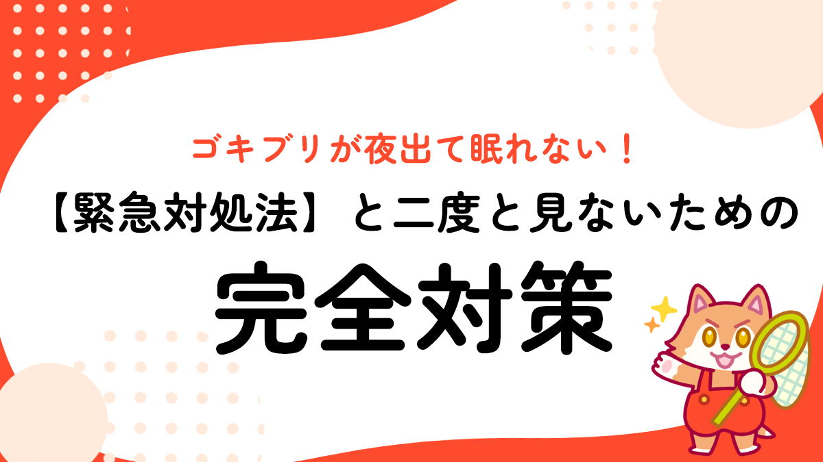 ゴキブリが夜出て眠れない！【緊急対処法】と二度と見ないための完全対策