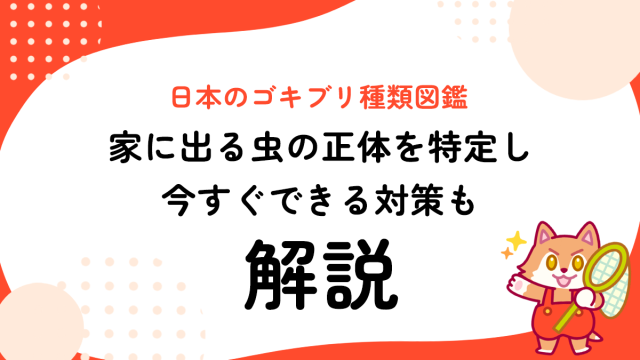 日本のゴキブリ種類図鑑｜家に出る虫の正体を特定し今すぐできる対策も解説