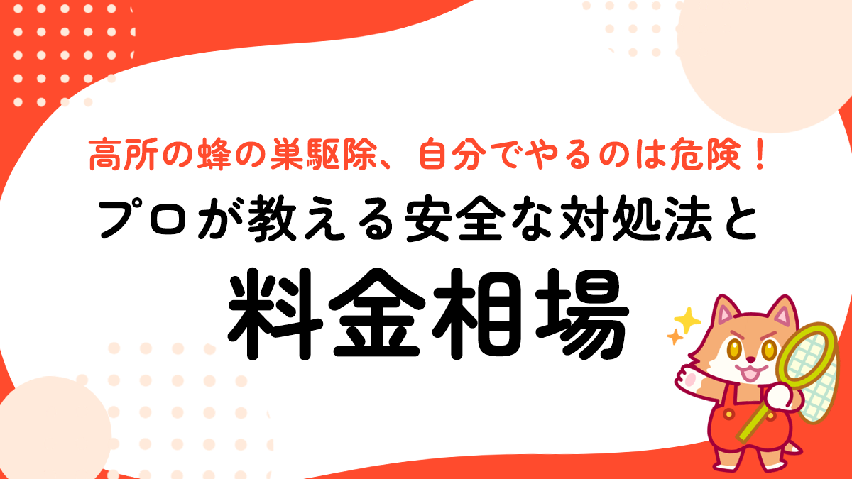 高所の蜂の巣駆除、自分でやるのは危険！プロが教える安全な対処法と料金相場